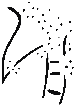 Image of the occurrence